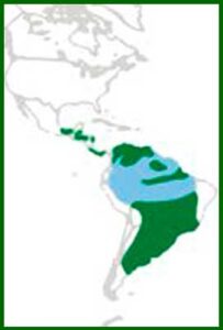 Mapa de distribución
