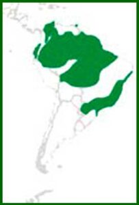 Mapa de distribución