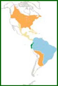 Mapa de distribución