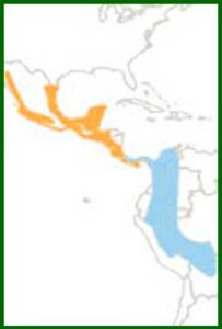 Mapa de distribución