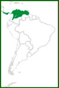Mapa de distribución