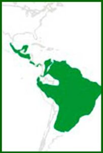Mapa de distribución
