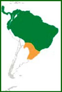 Mapa de distribución
