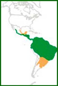 Mapa de distribución