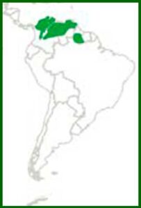 Mapa de distribución