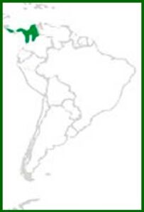 Mapa de distribución