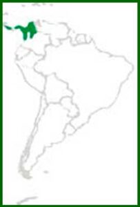 Mapa de distribución