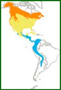 Mapa de distribución