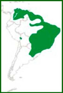 Mapa de distribución