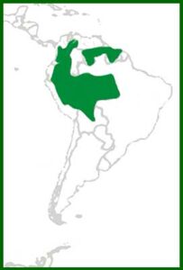 Mapa de distribución