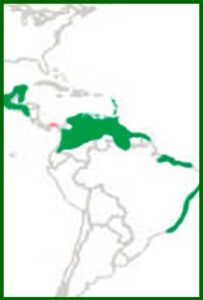 Mapa de distribución