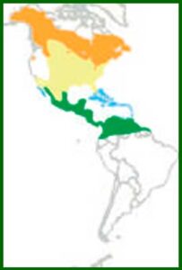 Mapa de distribución