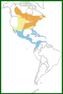 Mapa de distribución