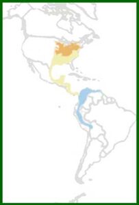 Mapa de distribución
