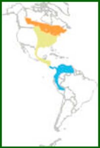 Mapa de distribución