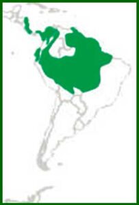 Mapa de distribución