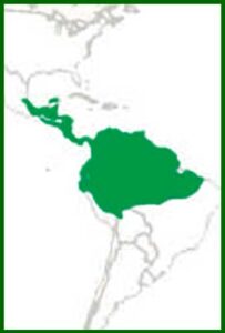 Mapa de distribución