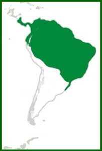 Mapa de distribución