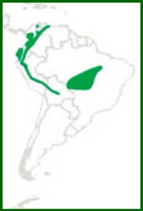 Mapa de distribución