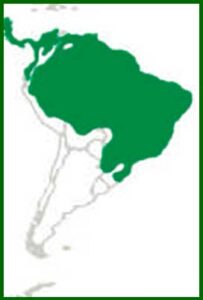 Mapa de distribución