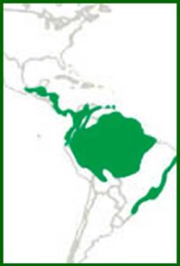Mapa de distribución