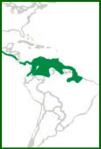 Mapa de distribución