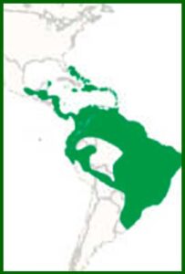 Mapa de distribución