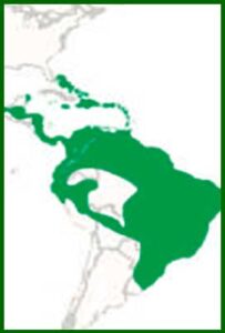Mapa de distribución