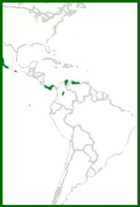 Mapa de distribución