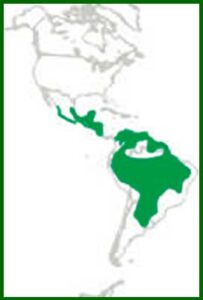 Mapa de distribución