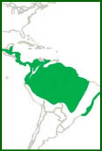 Mapa de distribución